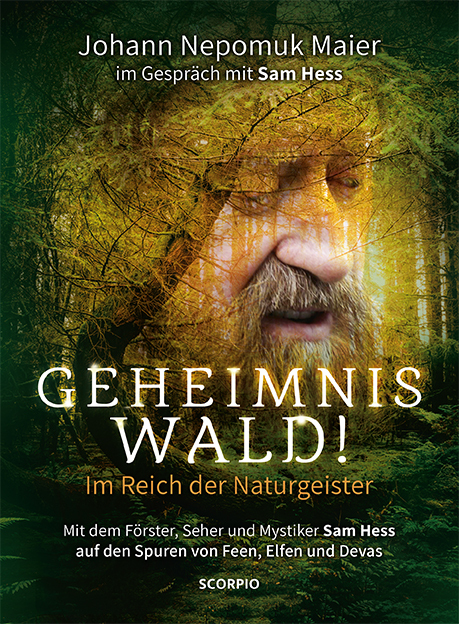 Geheimnis Wald! - Im Reich der Naturgeister main product photo