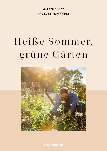 Heiße Sommer, grüne Gärten main product photo