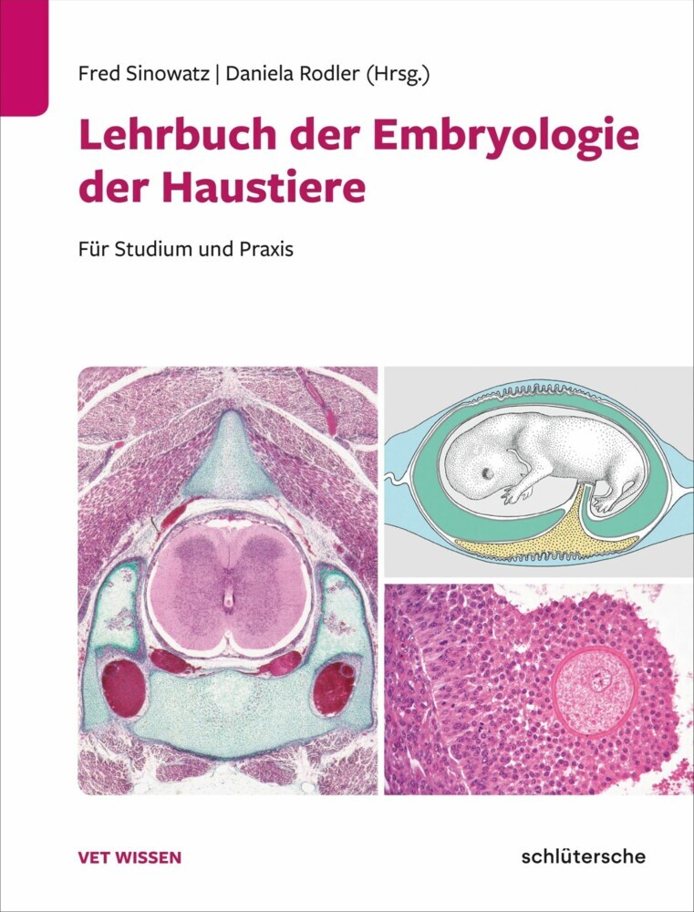 Lehrbuch der Embryologie der Haustiere main product photo