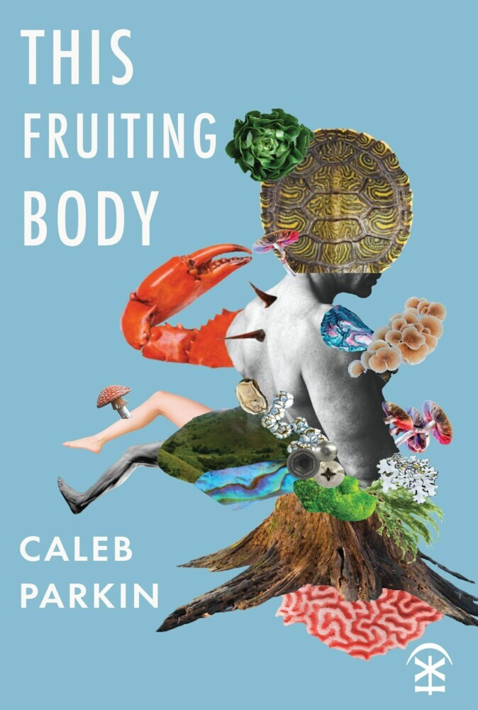 This Fruiting Body main product photo