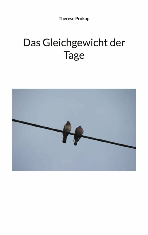 Das Gleichgewicht der Tage main product photo