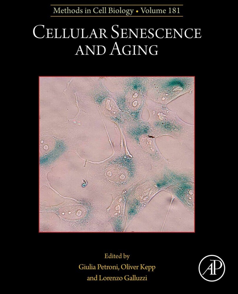 Cellular Senescence and Aging main product photo