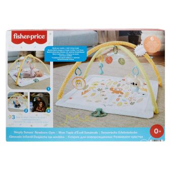 Fisher-Price Simply Senses Newborn Gym
