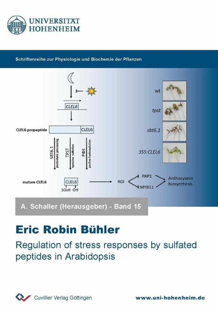 Regulation of stress responses by sulfated peptides in Arabidopsis main product photo
