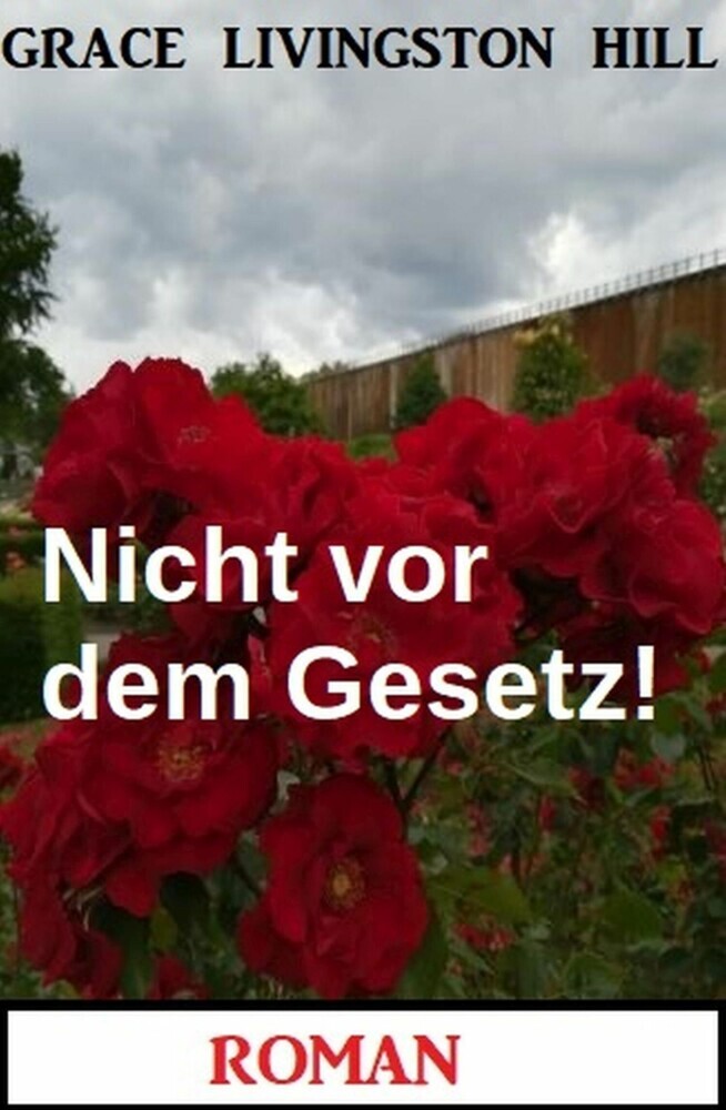 Nicht vor dem Gesetz! Roman main product photo