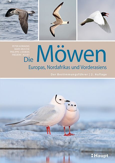 Die Möwen Europas, Nordafrikas und Vorderasiens main product photo