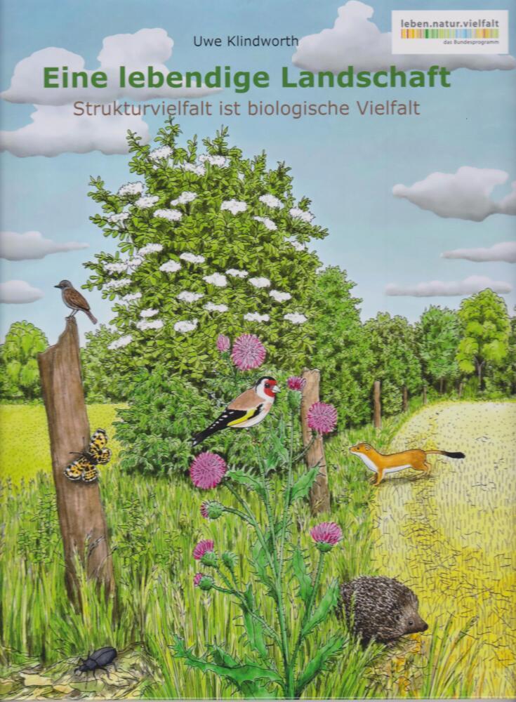 Eine lebendige Landschaft main product photo