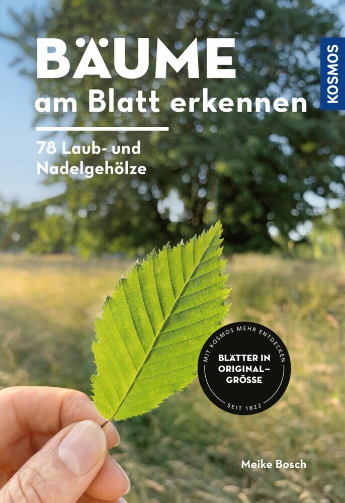 Bäume am Blatt erkennen - 78 Laub- und Nadelgehölze. Blätter in Originalgröße main product photo