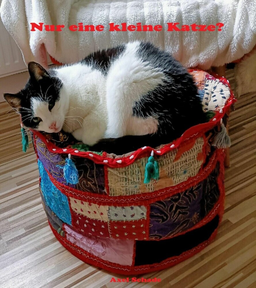 Nur eine kleine Katze? main product photo