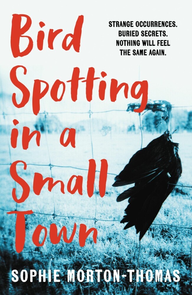 Bird Spotting in a Small Town main product photo