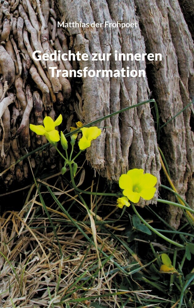 Gedichte zur inneren Transformation main product photo