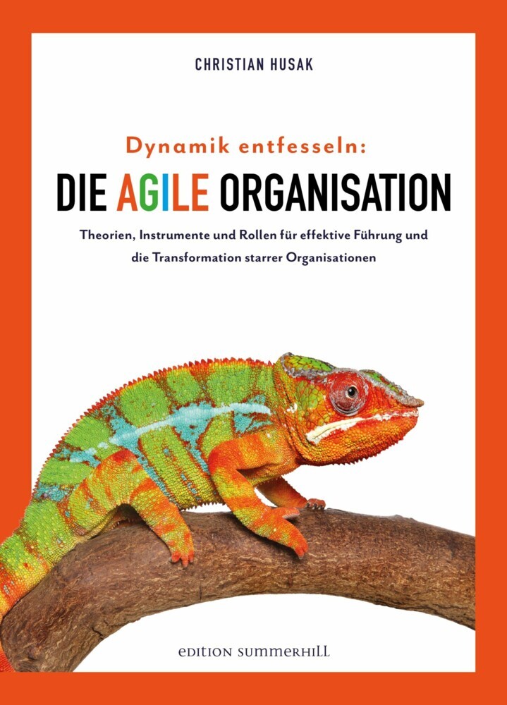 Dynamik entfesseln: Die agile Organisation main product photo