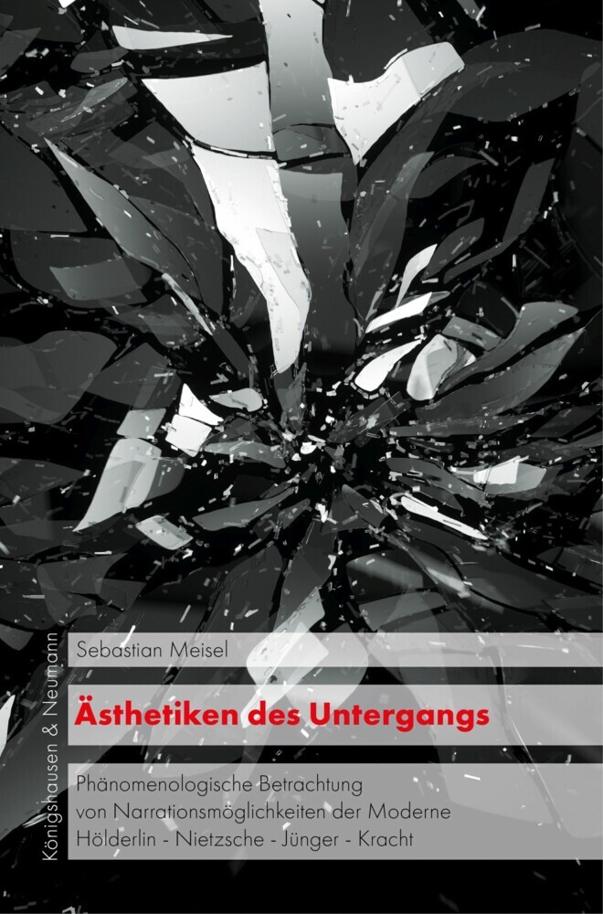Ästhetiken des Untergangs main product photo