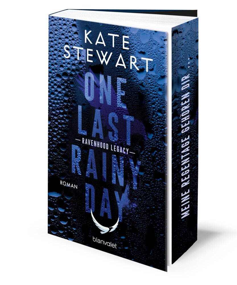 One Last Rainy Day main product photo