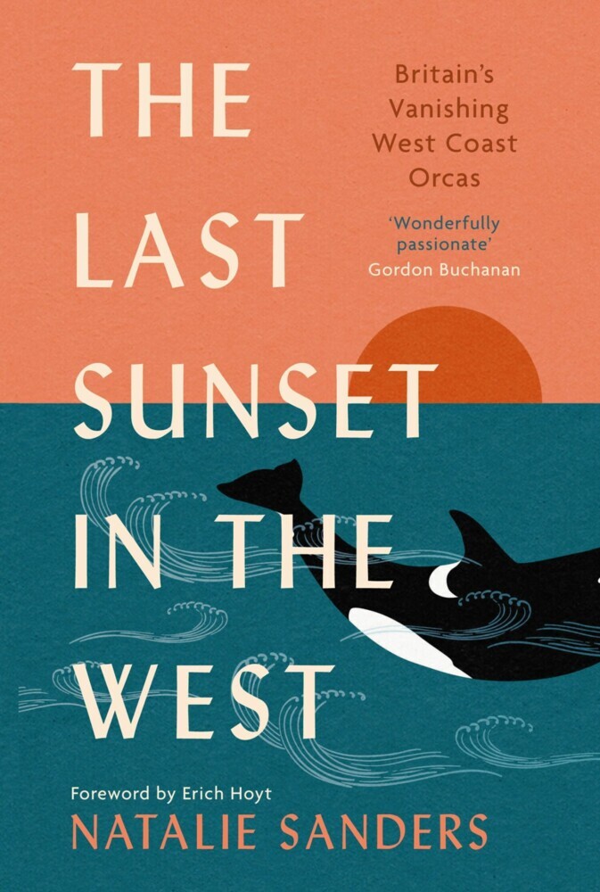 The Last Sunset in the West main product photo