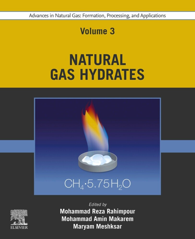 Advances in Natural Gas: Formation, Processing, and Applications. Volume 3: Natural Gas Hydrates main product photo