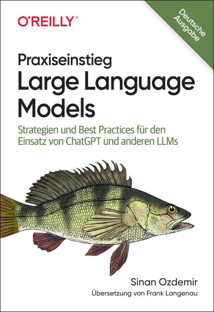 Praxiseinstieg Large Language Models main product photo