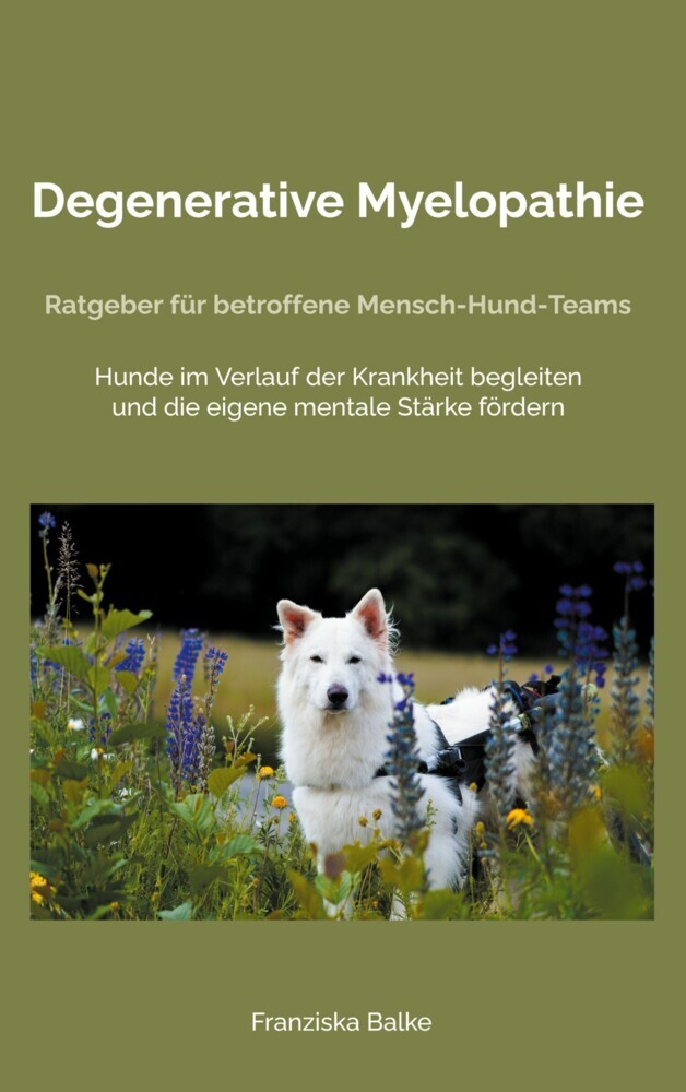 Degenerative Myelopathie main product photo
