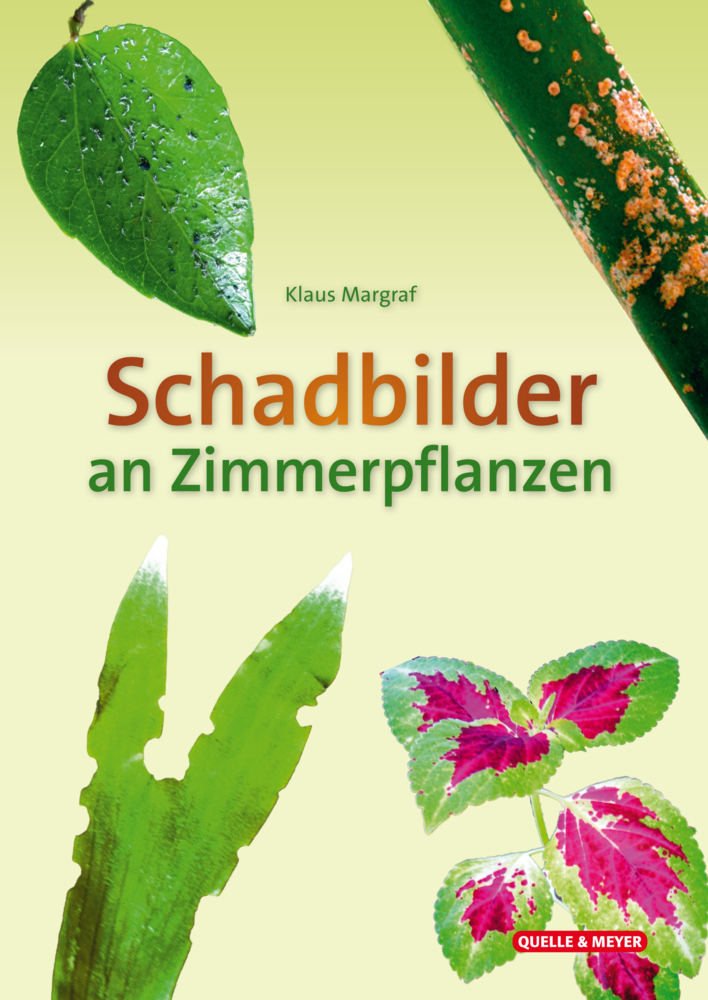 Schadbilder an Zimmerpflanzen main product photo