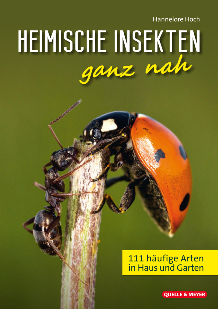 Heimische Insekten ganz nah main product photo