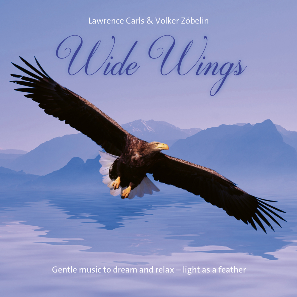 Wide Wings main product photo