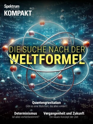Spektrum Kompakt - Die Suche nach der Weltformel