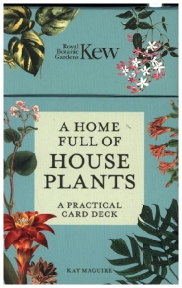 A Home Full of House Plants