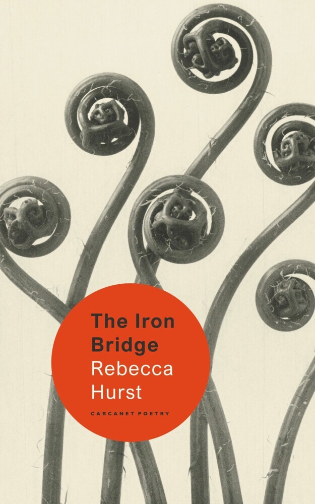 The Iron Bridge main product photo