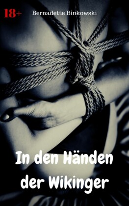 In den Händen der Wikinger