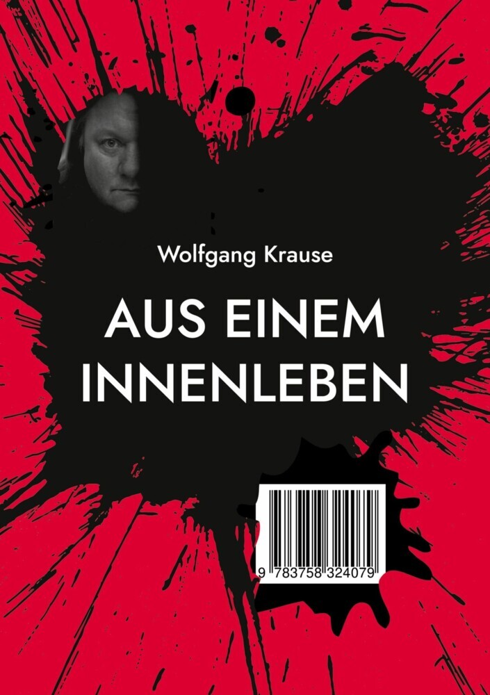Aus einem Innenleben main product photo
