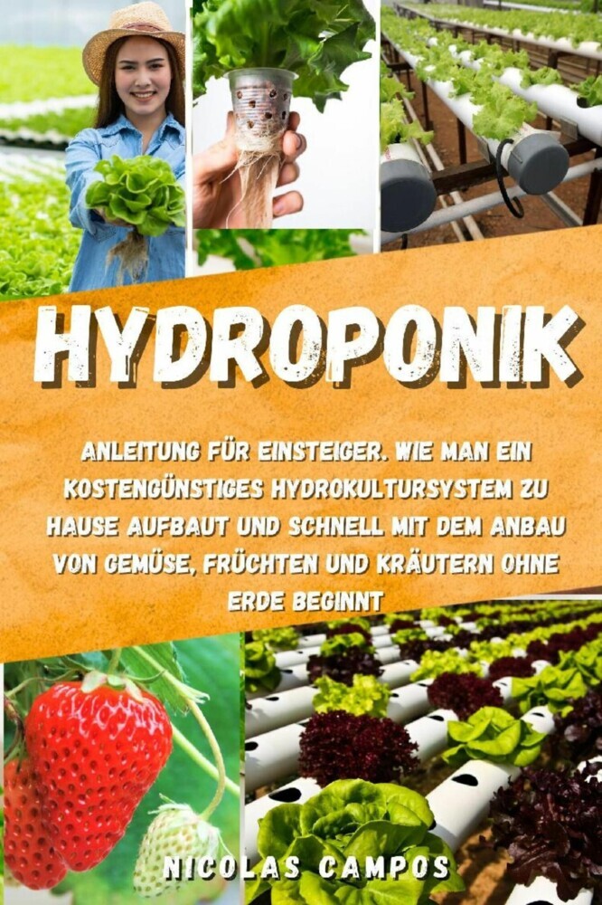 Hydroponik main product photo