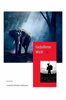 Gefallene Welt