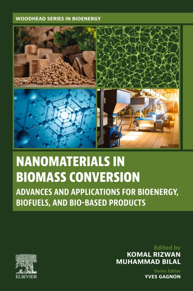 Nanomaterials in Biomass Conversion main product photo