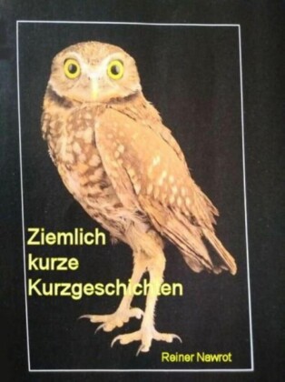 Ziemlich kurze Kurzgeschichten