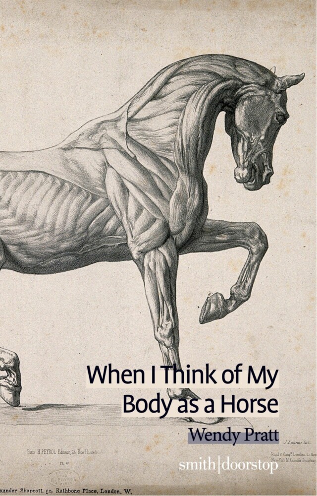 When I Think of My Body as a Horse main product photo