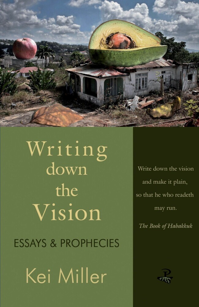Writing Down the Vision main product photo