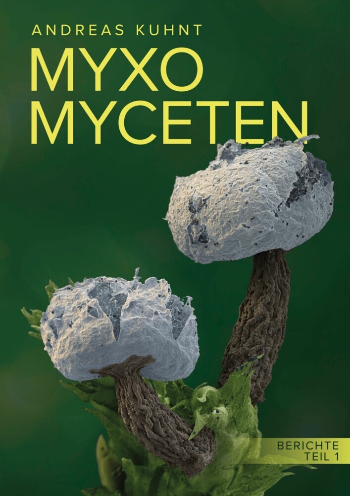 Myxomyceten main product photo