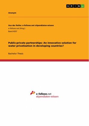 Public-private partnerships: An innovative solution for water privatization in developing countries?