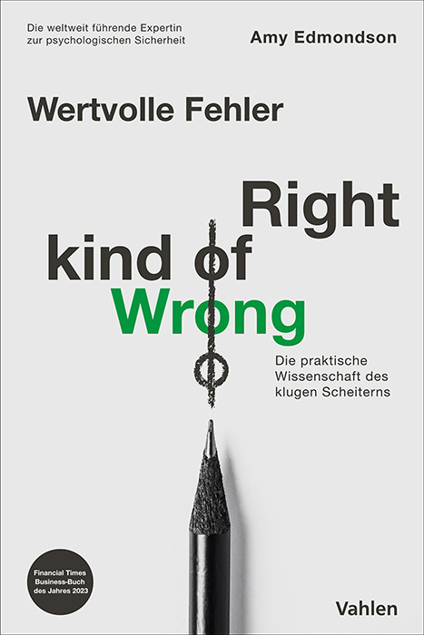 Wertvolle Fehler - Right Kind of Wrong main product photo
