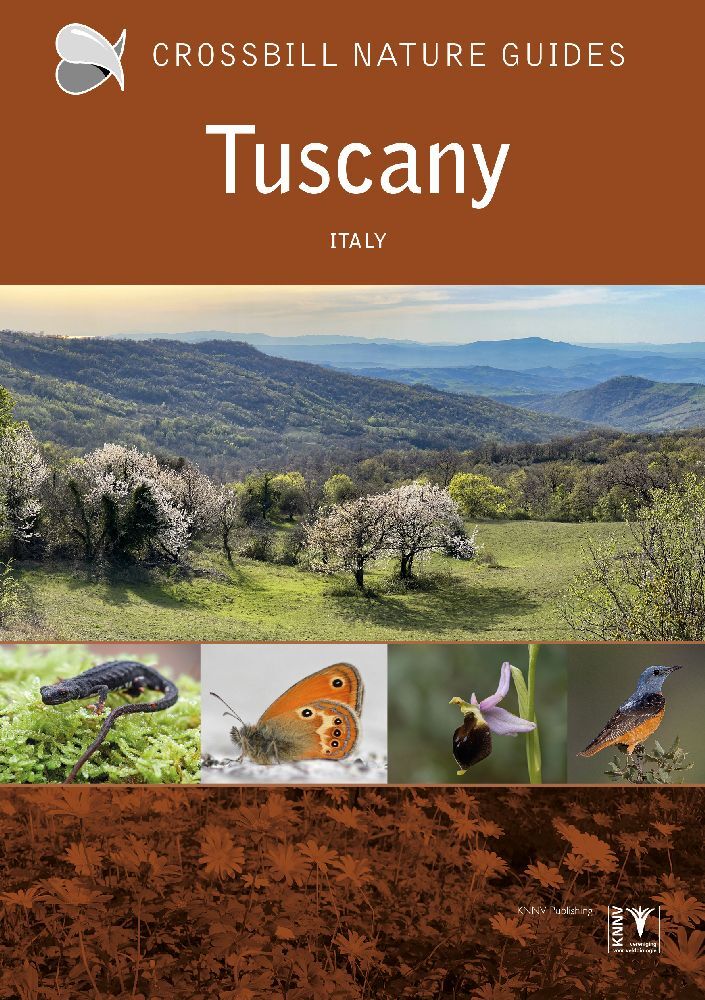 Tuscany main product photo