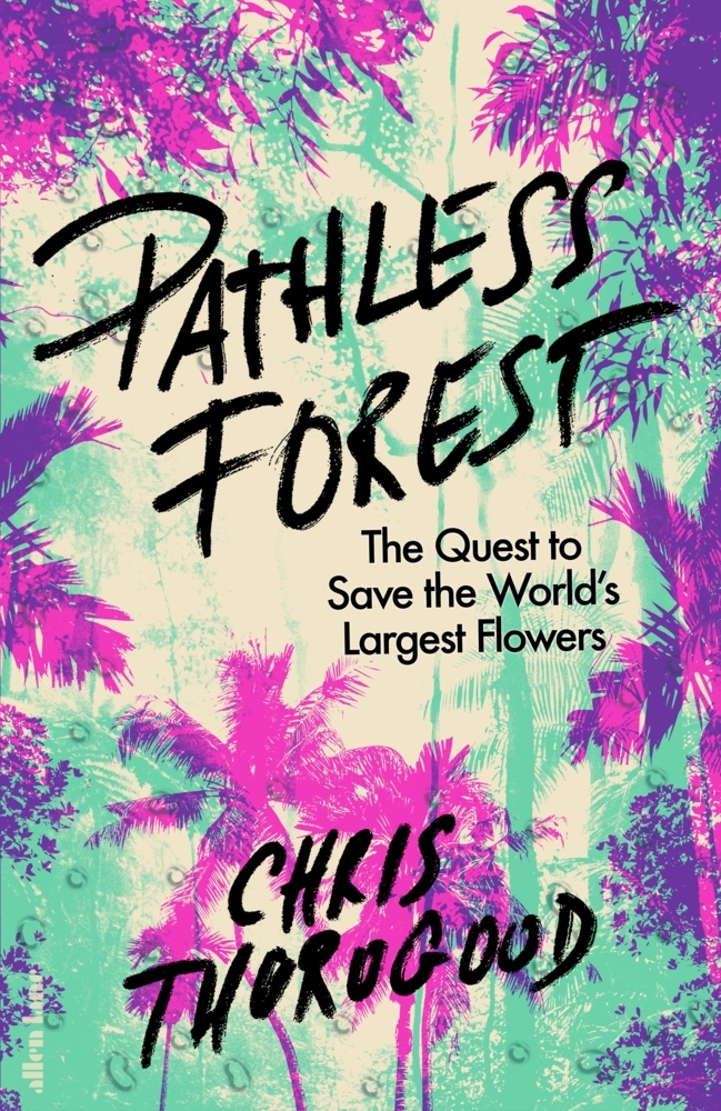 Pathless Forest main product photo