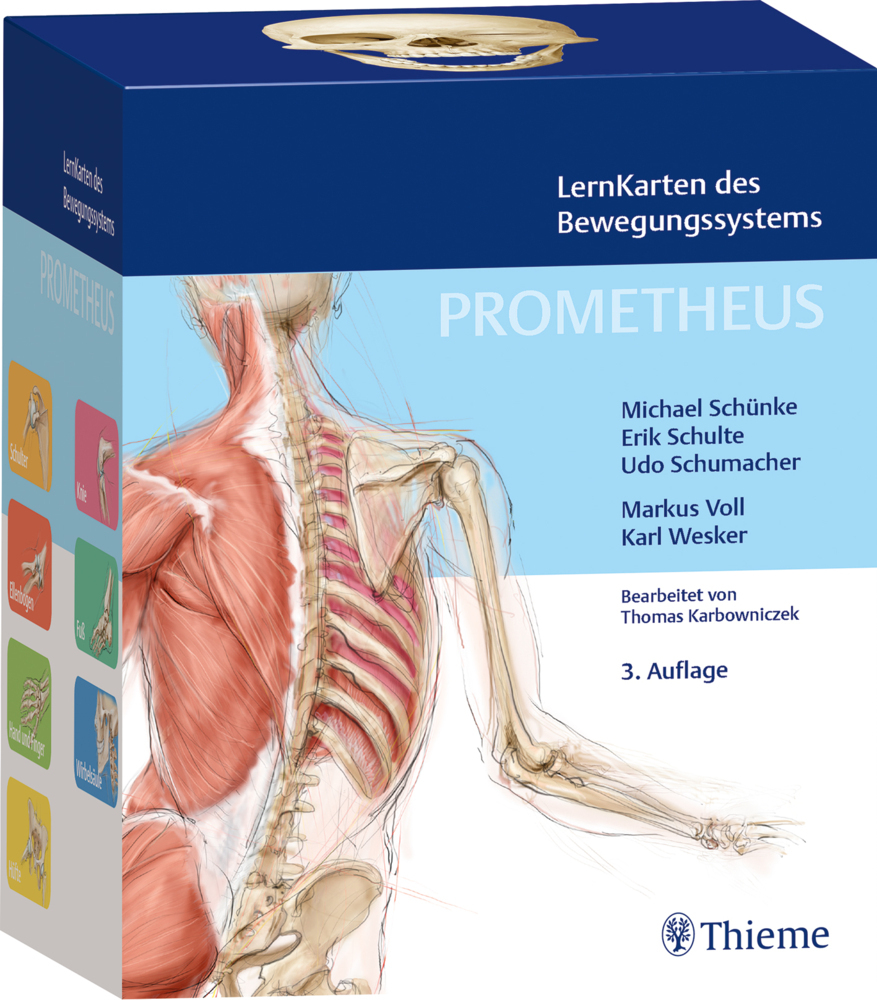PROMETHEUS LernKarten des Bewegungssystems main product photo