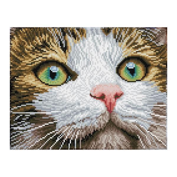 Diamond Dotz Katze mit grünen Augen main product photo