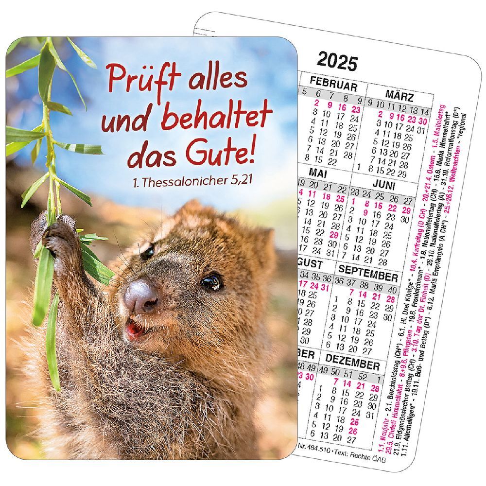 Spielkartenkalender 2025 main product photo