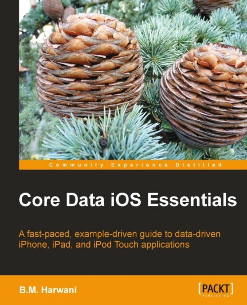 Core Data iOS Essentials main product photo
