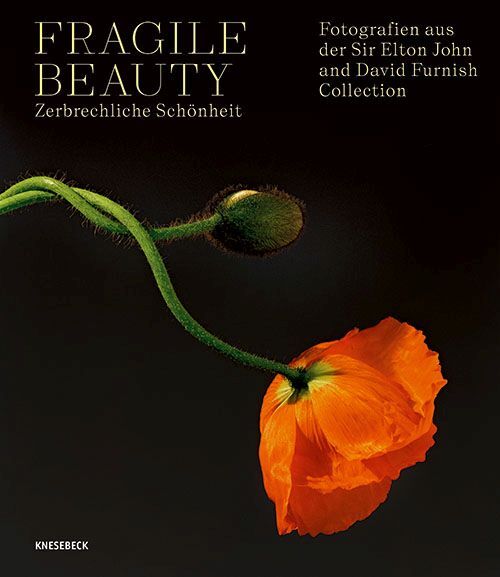 Fragile Beauty - zerbrechliche Schönheit main product photo