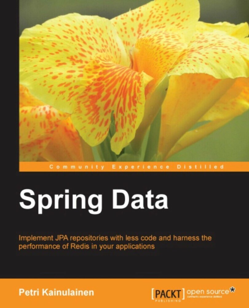Spring Data main product photo
