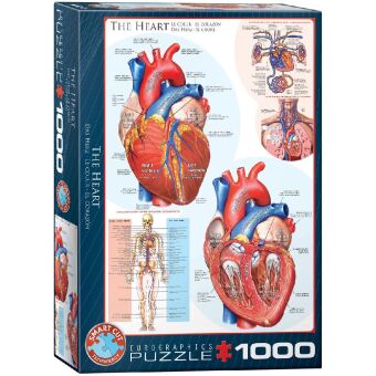 Das Herz 1000 Teile