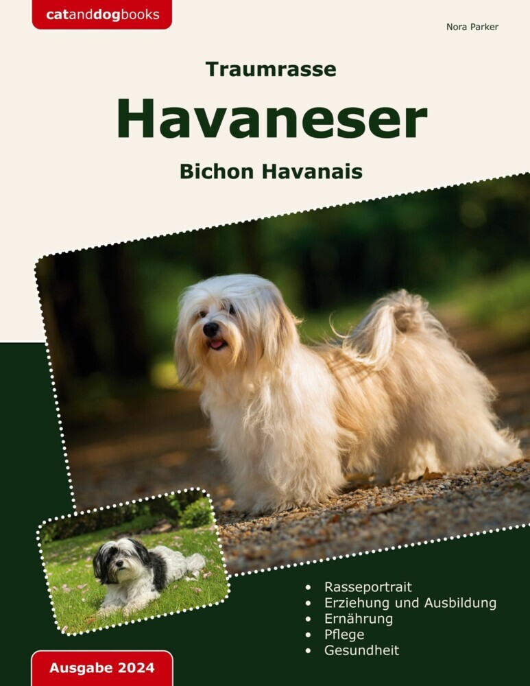 Traumrasse Havaneser main product photo