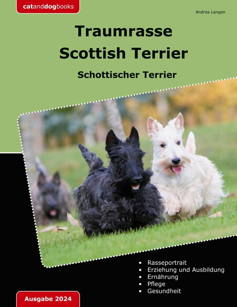 Traumrasse Scottish Terrier main product photo